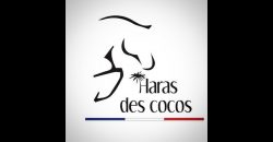 Haras des Cocos