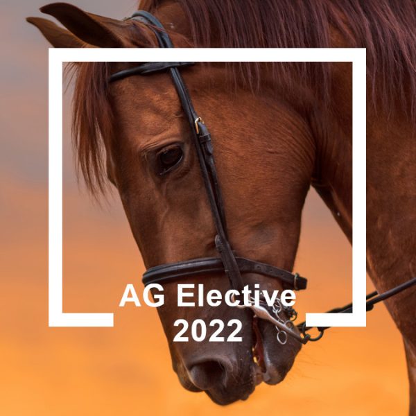 AG Elective du CRE de la Réunion 2022